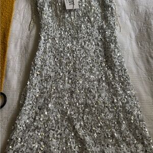 Silver Sequin Dress